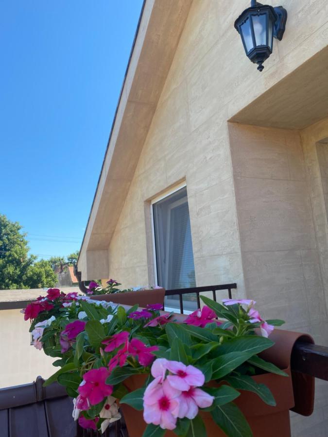 Omis Rooms Pančevo Eksteriør billede