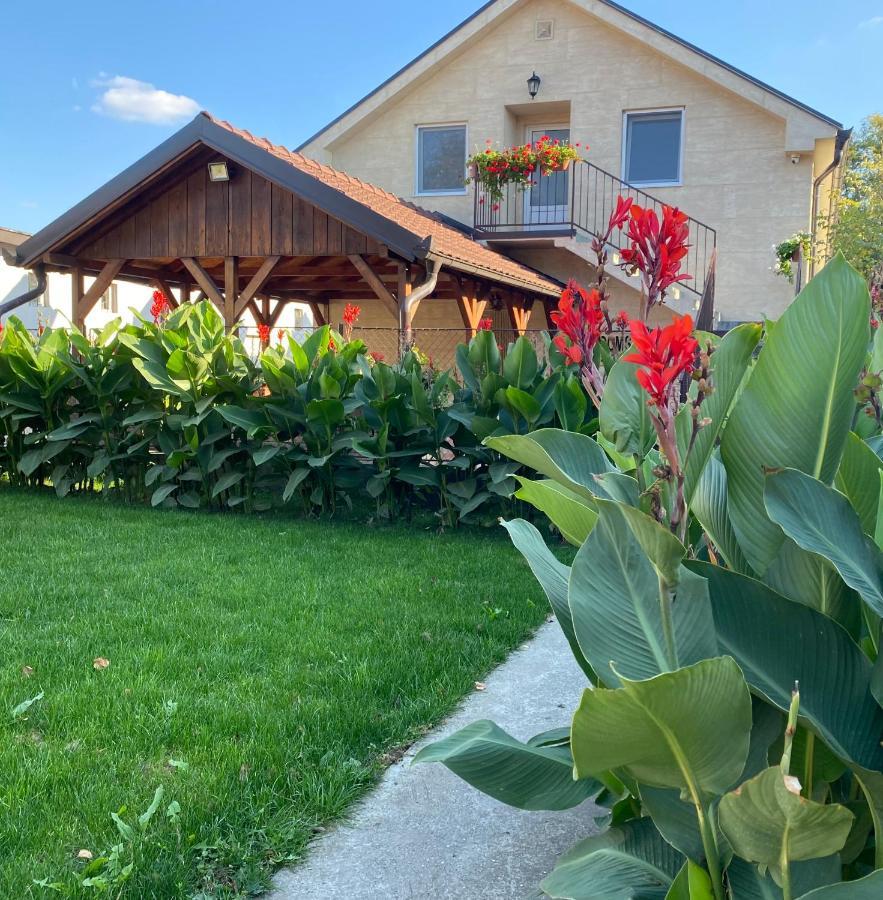 Omis Rooms Pančevo Eksteriør billede